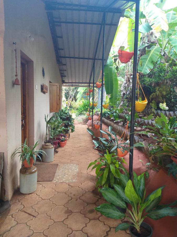 The Enchanting Nest Borim Exterior photo
